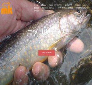 �������ތ�����