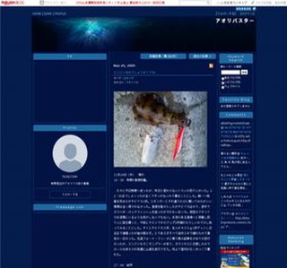 �A�I���C�J�ߊl���