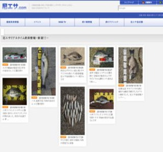 ��G�T�̌����z�[���y�C�W