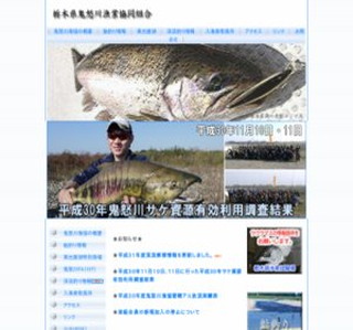 �Ȗ،��S�{�싙�Ƌ����g��