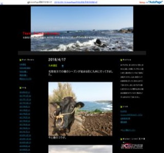 TEAM �V�[�o�X�n���^�[�Y�@