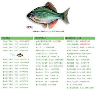 �䑷�q�{��