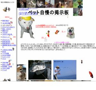 �q�C����