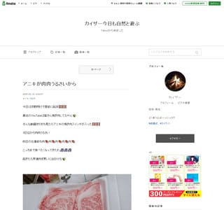 �J�C�U�[�̃{�[�g�ނ�