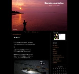 �ɐ��p���V�[�o�X�p���_�C�X