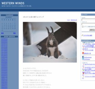 WESTERN WINDS