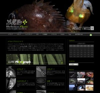 ���o���{