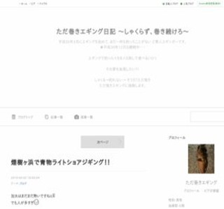 ���������G�M���O�ŃA�I���C�J��ނ邽�߂̃T�C�g