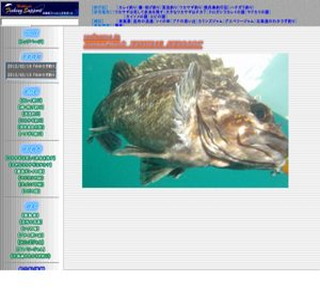 �k�C���t�B�b�V���O�T�|�[�g�@�ލs�L