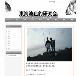 ���C�g�~�ތ�����